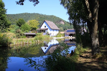 Chambres d'hôtes - gîte Au numéro 6, Chambre d'Hôtes à Obersteinbach