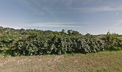 Chalet Peydecoum, Location de Vacances à Saint-Geours-de-Maremne