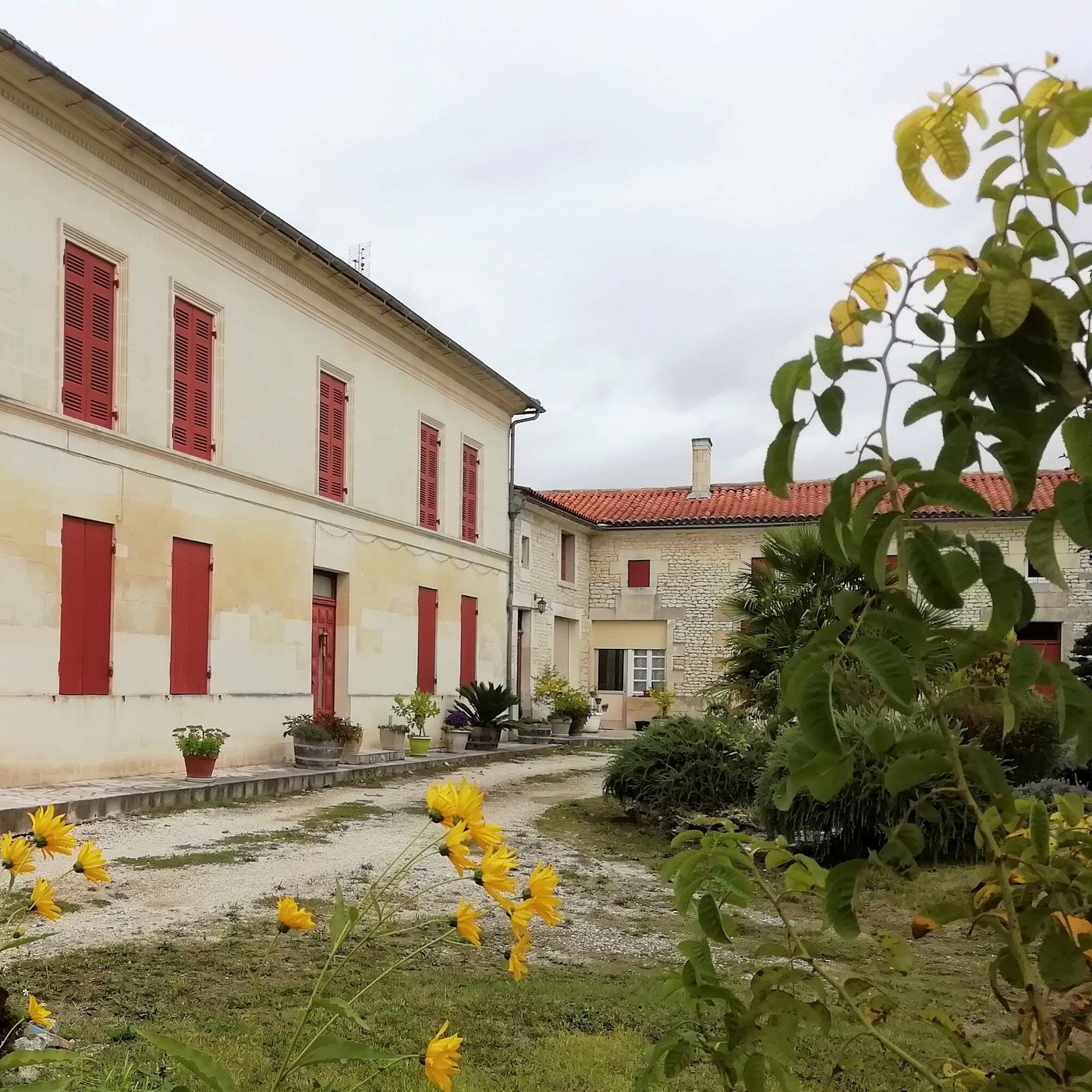 Domaine des Tonneaux SARL, Chambre d'Hôtes à Jarnac-Champagne