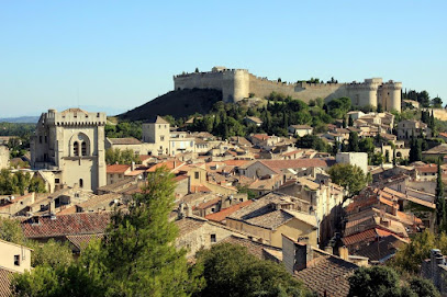Villeneuve: Location Saisonnière Gîte Appartement De Vacances Meublé De Tourisme À Avignon Vaucluse, Location De Vacances à Villeneuve-lès-Avignon