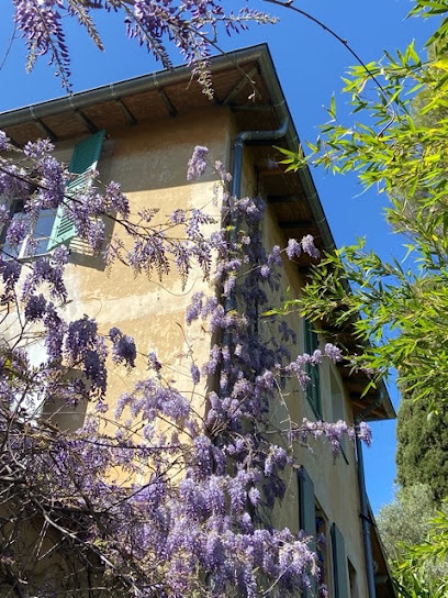 La Source De L'olivier Location De Vacances à Nice