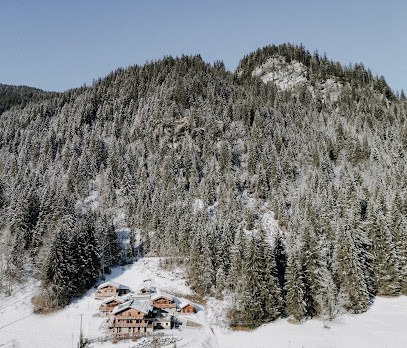 Les Etoiles Des Alpes Location De Vacances à Châtel