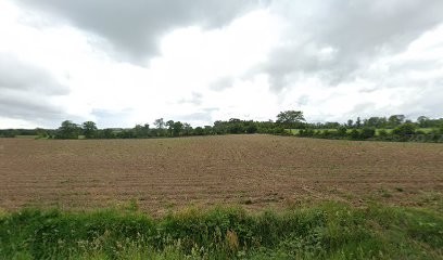 B&B Les P'tits Oiseaux, Maison d'Hôtes à Plescop