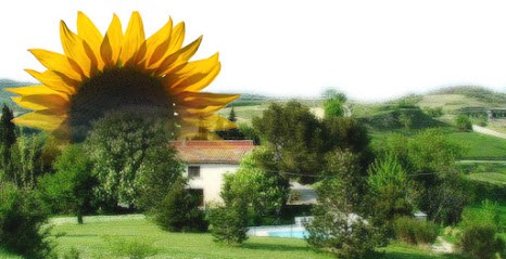 Gite Domaine des Roujoux avec Piscine chauffée, Vue stupéfiante, Golf d'apprentissage & wifi, Location de Vacances à Laurac