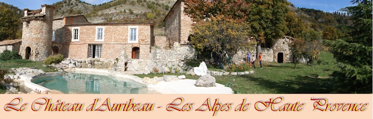 Château D'Auribeau, Chambre d'Hôtes à Hautes-Duyes