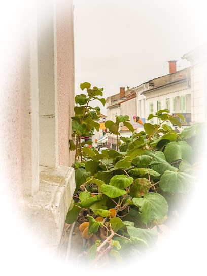 La Belle Cordiere Location Saisonnière sur l'Ile d'Oleron, Location de Vacances à Saint-Trojan-les-Bains
