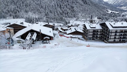 Au Pied Du Morclan, Location de Vacances à Châtel