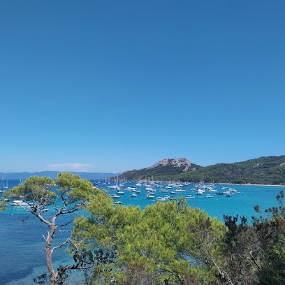 La Conciergerie Des Palmiers, Location de Vacances à La Londe-les-Maures