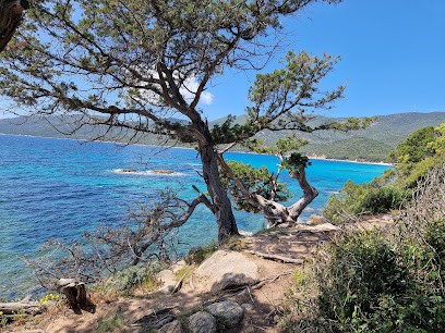 Mini Villa 69, Location de Vacances à Serra-di-Ferro