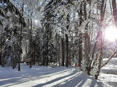 Aux Contamines, Location de Vacances aux Contamines-Montjoie