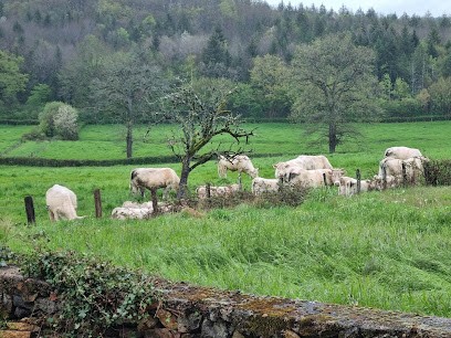 Sci Bernardcailhol LTV, Location de Vacances à La Machine