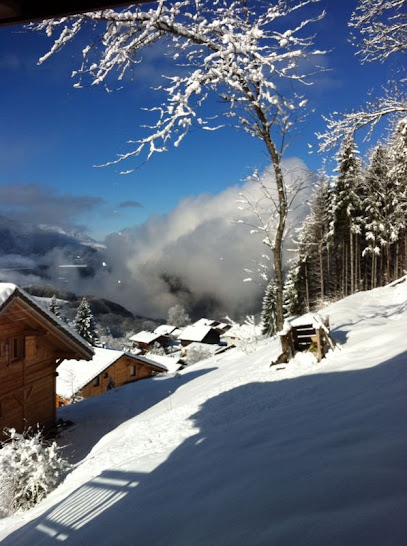 Le Chalet, Location De Vacances à Arâches-la-Frasse