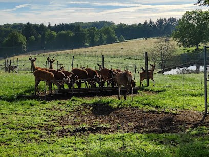 Laplaud Bed And Breakfast, Chambre d'Hôtes à Saint-Yrieix-la-Perche