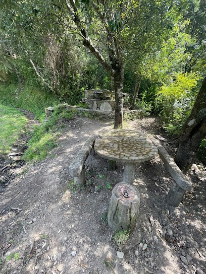 Les Oliviers De Sylvie, Location de Vacances à Prunelli-di-Fiumorbo