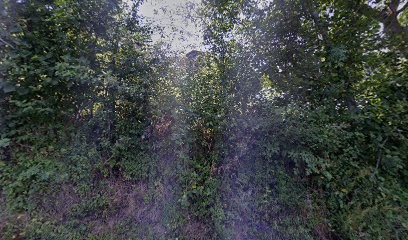 Ferme de Spiruline, Chambre d'Hôtes à Aveize