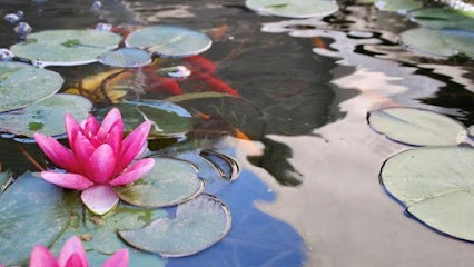 L’Estello, Location de Vacances à Villeneuve-lès-Avignon