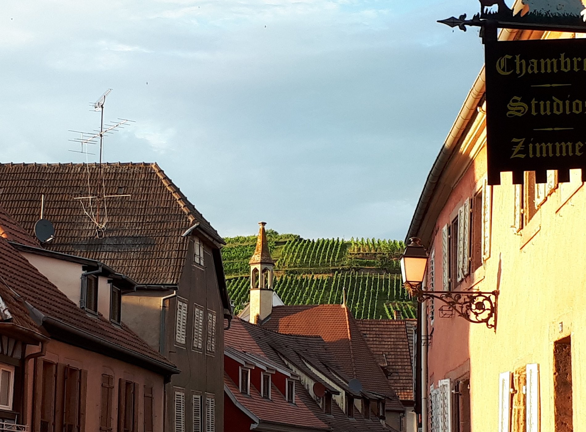 Gîtes et chambres d'hôtes Meyer-Liss, Chambre d'Hôtes à Ribeauvillé