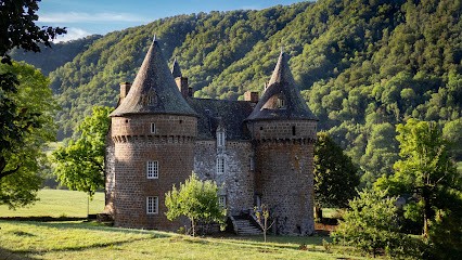 Castle Of Longevergne, Chambre d'Hôtes à Anglards-de-Salers