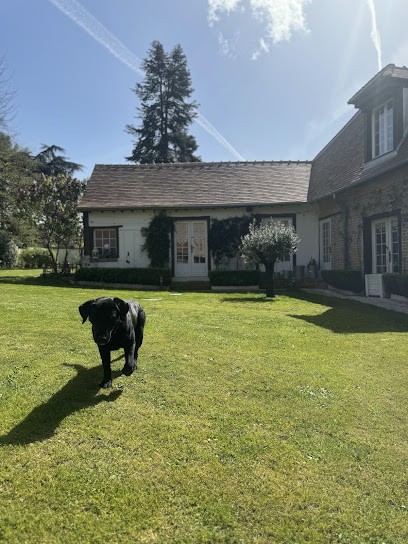 La Tanière Des Ours, Maison d'Hôtes à Chaumont-sur-Tharonne