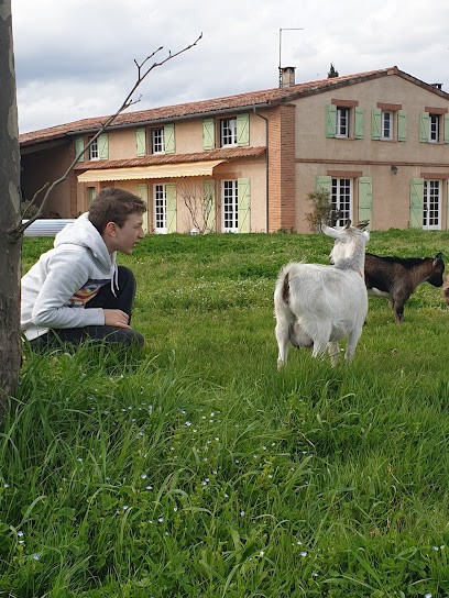 La Ferme du Puits carré, Chambre d'Hôtes à Lamasquère