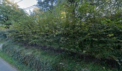 La Broussole, Chambre d'Hôtes à Chartrier-Ferrière