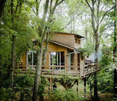 Perched hut of Chambonnière Nights Unusual near Paris, Chambre d'Hôtes au Plessis-Feu-Aussoux