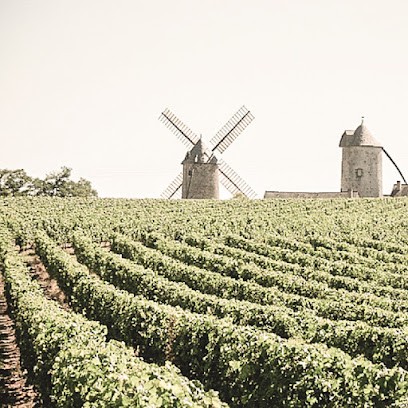 Au Bout Du Quai - Chambres D'hôtes - Chalonnes-sur-Loire, Chambre d'Hôtes à Chalonnes-sur-Loire