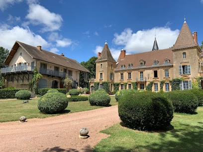 Château De Vaulx -Gites Et Chambres D'hôtes En Brionnais, Chambre d'Hôtes à Saint-Julien-de-Civry