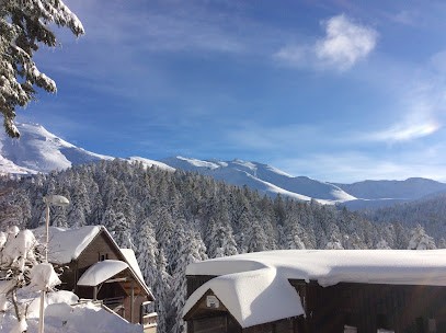 Chalet Edelweiss, Location de Vacances à Laveissière
