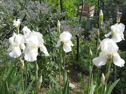 Chambre D'hôtes APIFLORE, Chambre d'Hôtes à Garéoult