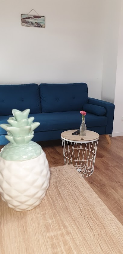 Studio meublée 42, Location de Vacances à Saint-Étienne