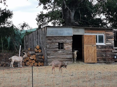 Gîte Les Coudoulets, Chambre d'Hôtes à Mison