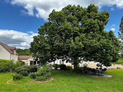 Domaine De Couilleuse, Chambre d'Hôtes à Saint-Laurent-Nouan