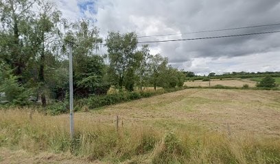 Gîte La Tulipe, Location de Vacances à Lusanger