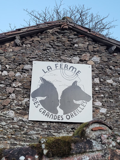 Chambres D'hôtes De La Ferme Des Grandes Oreilles, Chambre D'hôtes à Pampelonne