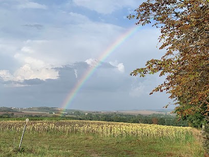 Domaine de Buscail, Location de Vacances à Mazerolles-du-Razès