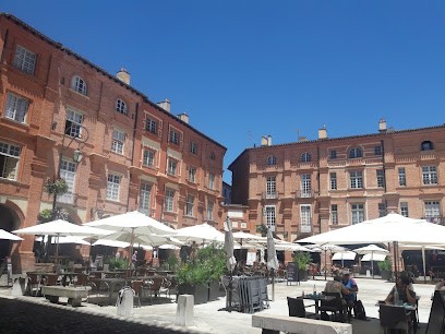 Les Toits De La Cité D'Ingres, Location de Vacances à Montauban