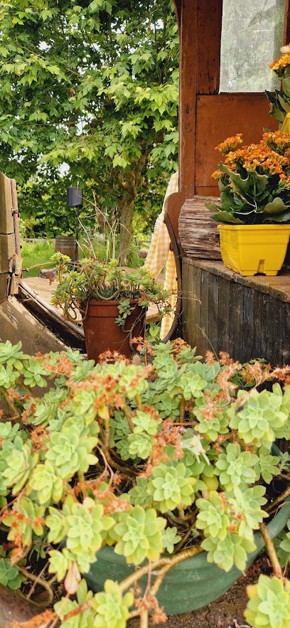 Pedarzacq, Chambre d'Hôtes à Dumes