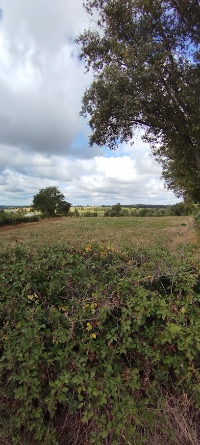 La Creuse, Chambre d'Hôtes à Cerdon