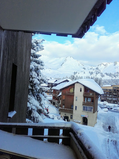 Appartement Vesine, Location De Vacances à Taninges