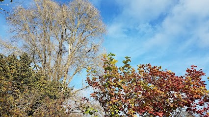 Ferme De LARC, Chambre d'Hôtes à Mareuil en Périgord