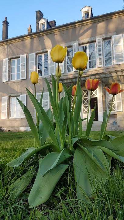 Château Mesny, Chambre d'Hôtes à Vic-sur-Seille