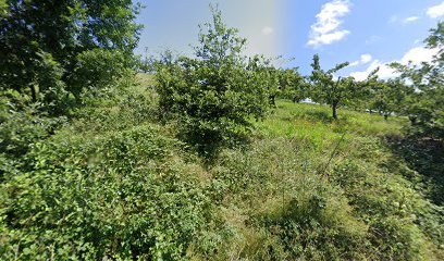 Bruyas Claude, Chambre d'Hôtes à Valfleury