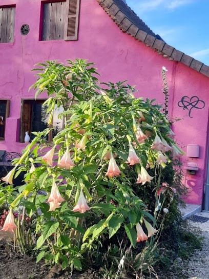 La Maison Du L.a.c., Chambre d'Hôtes à Simard