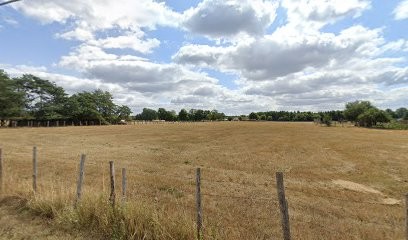 Couet Ferret Annick Rachel, Chambre d'Hôtes à Changé