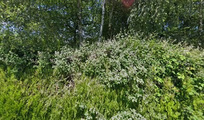 Le Gite de La Roche Derrien, Chambre d'Hôtes aux Monts du Roumois