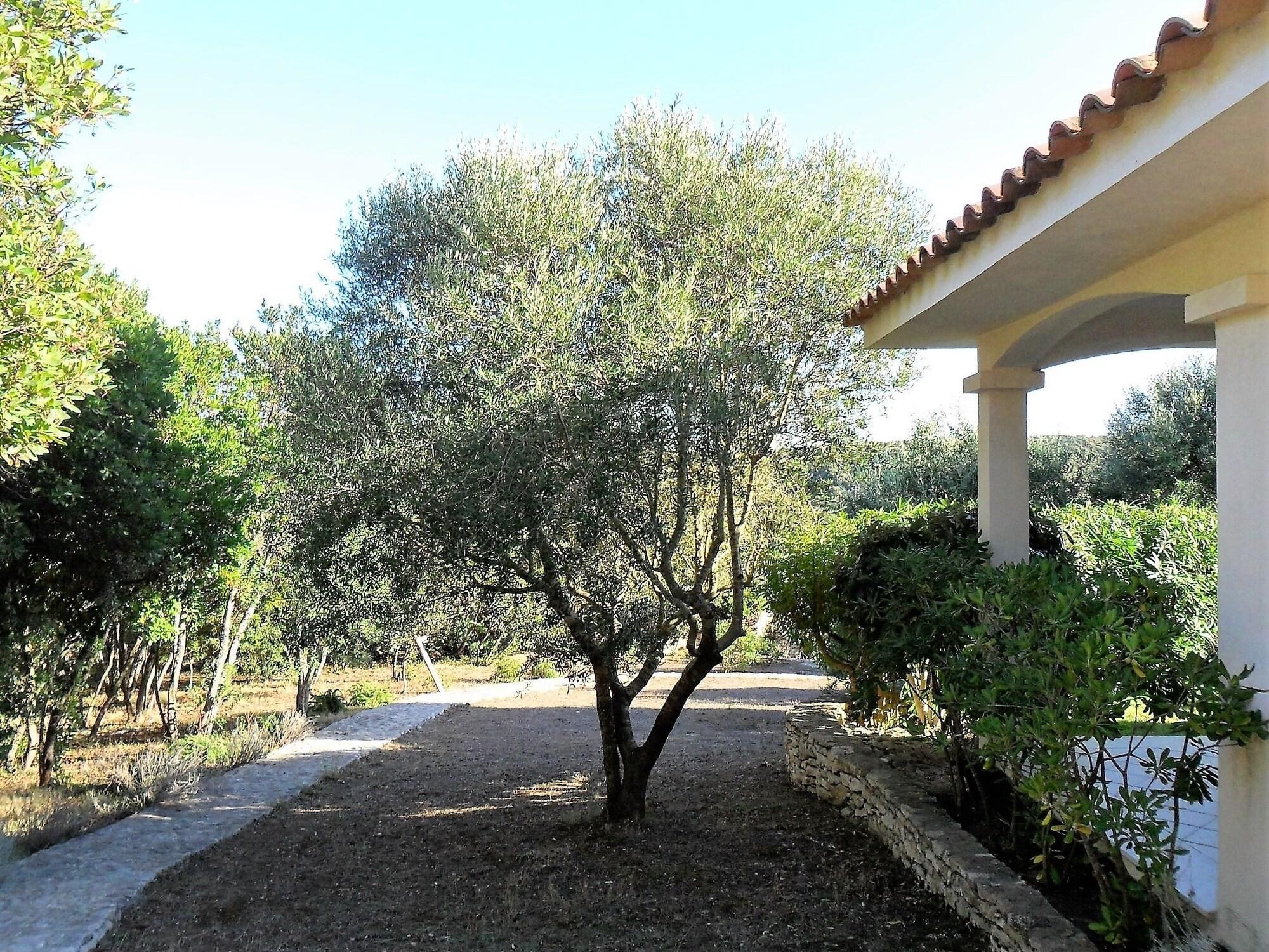 Résidence Casa Martini Bonifacio, Chambre d'Hôtes à Bonifacio