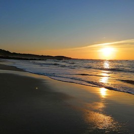 Maison MAHECO Location Gujan-mestras / Bassin D' Arcachon, Location de Vacances à Gujan-Mestras