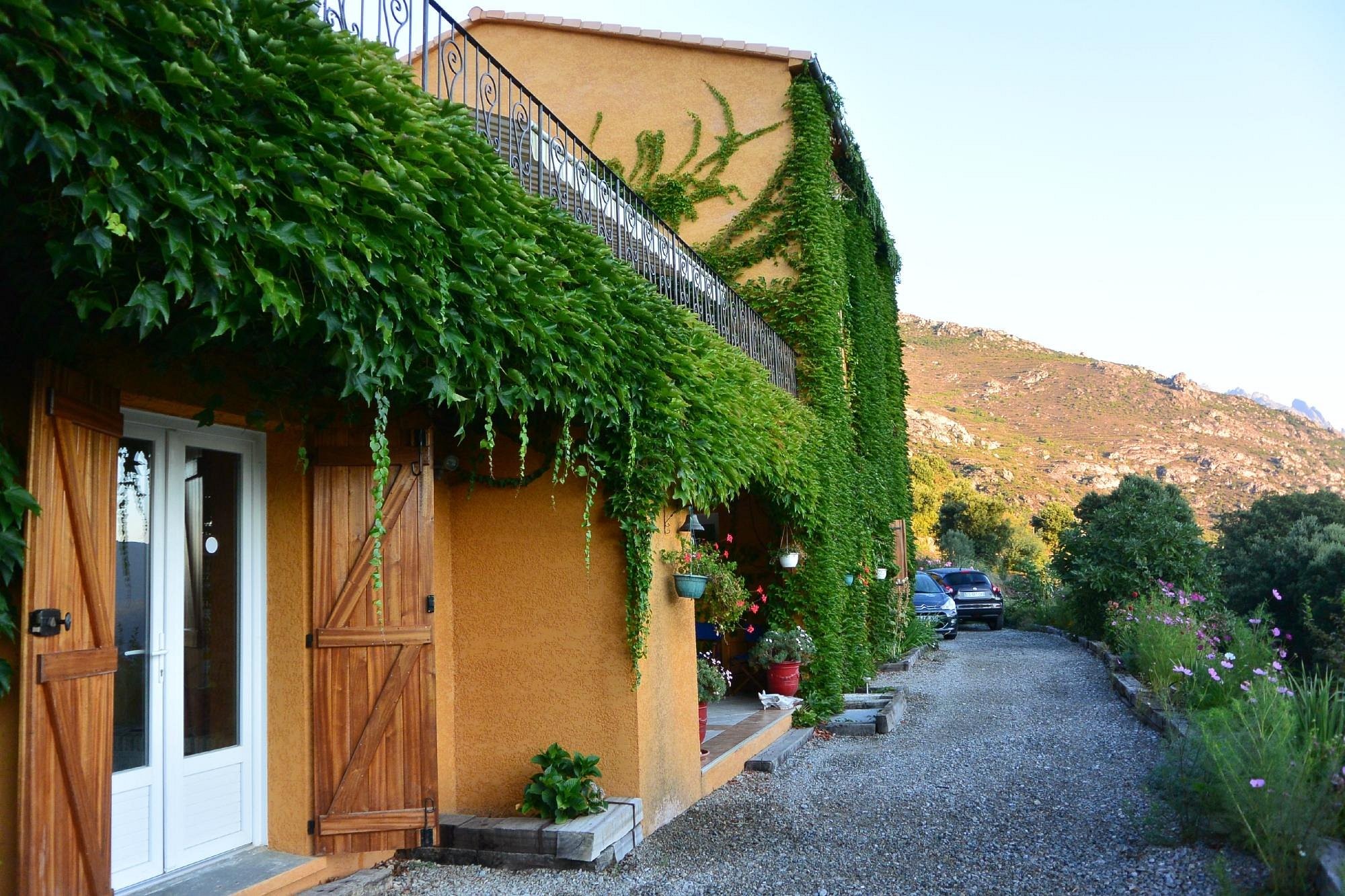 A Pianella, Chambre d'Hôtes à Castirla
