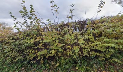 La Frelonnière, Chambre d'Hôtes à La Caillère-Saint-Hilaire